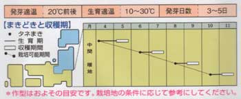 おかのり 野菜種 タネ 苗の専門店 高木農園