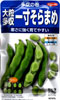 多空の春（おおぞらのはる）