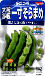 多空の春（おおぞらのはる）