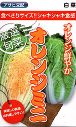 オレンジミニ