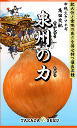 泉州の力