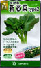 新芯菜type2