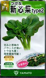 新芯菜type2